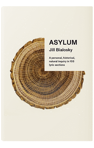Asylum by Jill Bialosky
