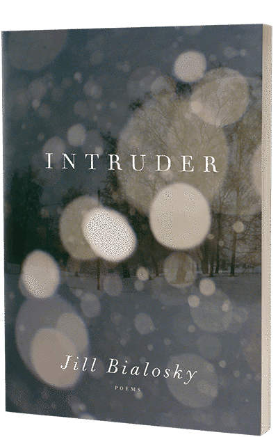 Intruder cover